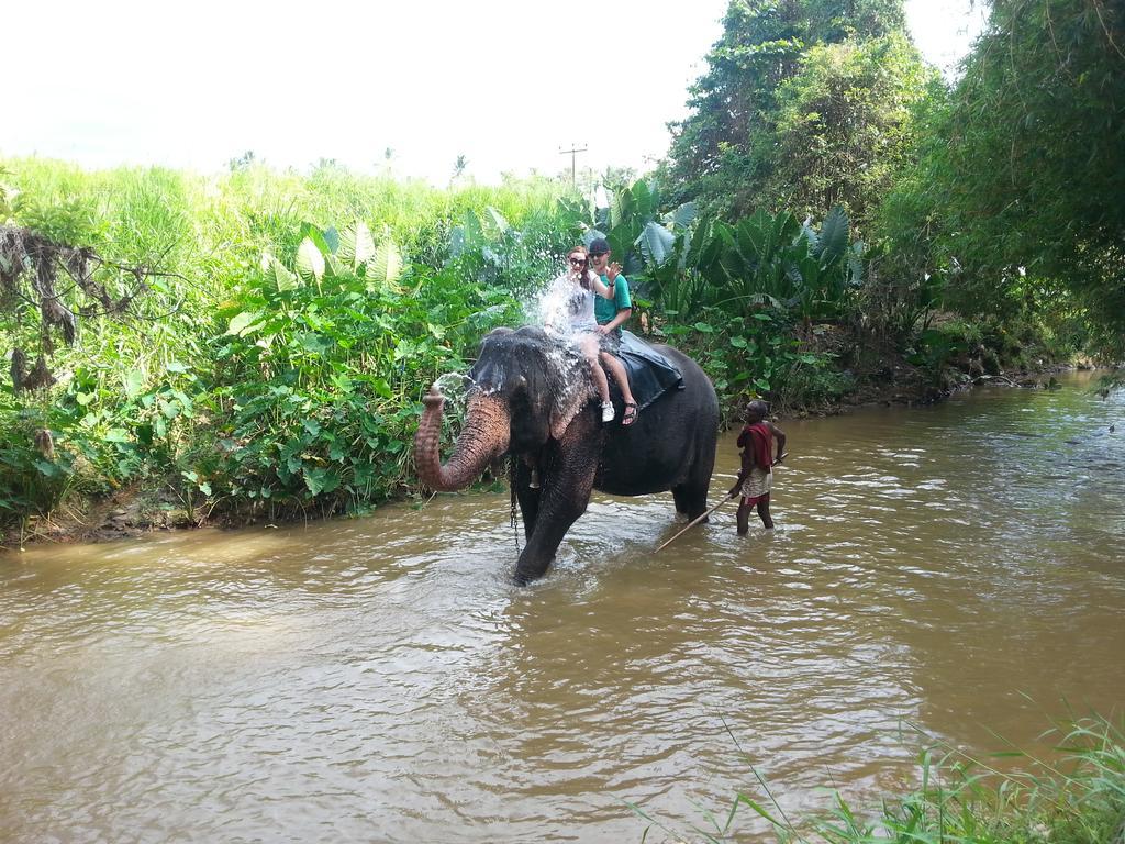 Elephant Reach Villa Pinnawala Pinnawala  Exterior photo